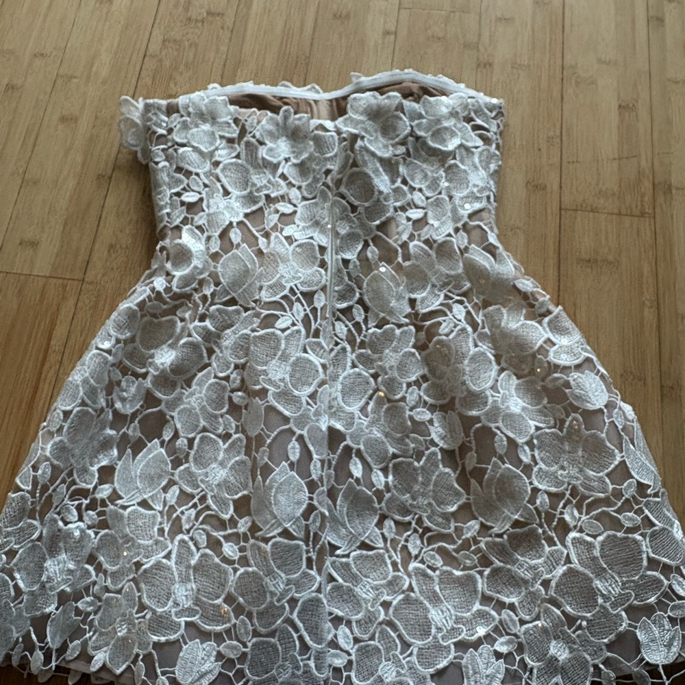 Retrofete Alira Sequin Lace Strapless
Mini Dress - Picture 5 of 9